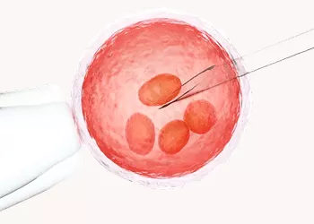 Egg Freezing: A Healthy Discussion