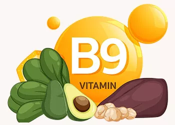 Folic Acid & Pregnancy: When & Why to Take It