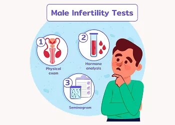 Fertility Test for Men