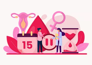 The Significant Role That Ovulation Plays in Fertility and Infertility