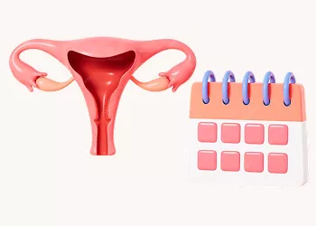 Can You Ovulate More Than Once Per Month or Cycle?