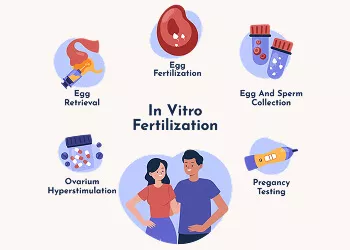 How Long Does an IVF Cycle Take?  