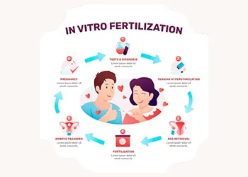 IVF Process in 3 Simple Steps: Stimulate, Retrieve, Transfer