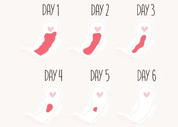 What Causes Less Bleeding During Periods