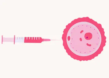 What Are the Negative Signs After Embryo Transfer? 