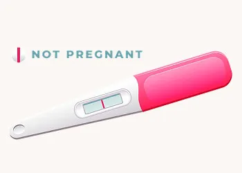 Negative Pregnancy Test: What It Means, Why It Happens, and What to Do Next