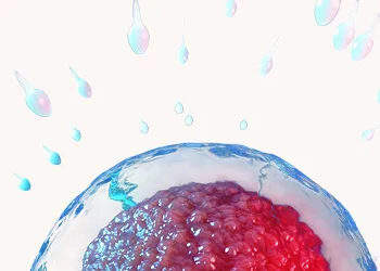 How Many Days Can Sperm Live in the Female Body?