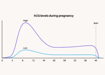 What Causes Low hCG Levels in Early Pregnancy?