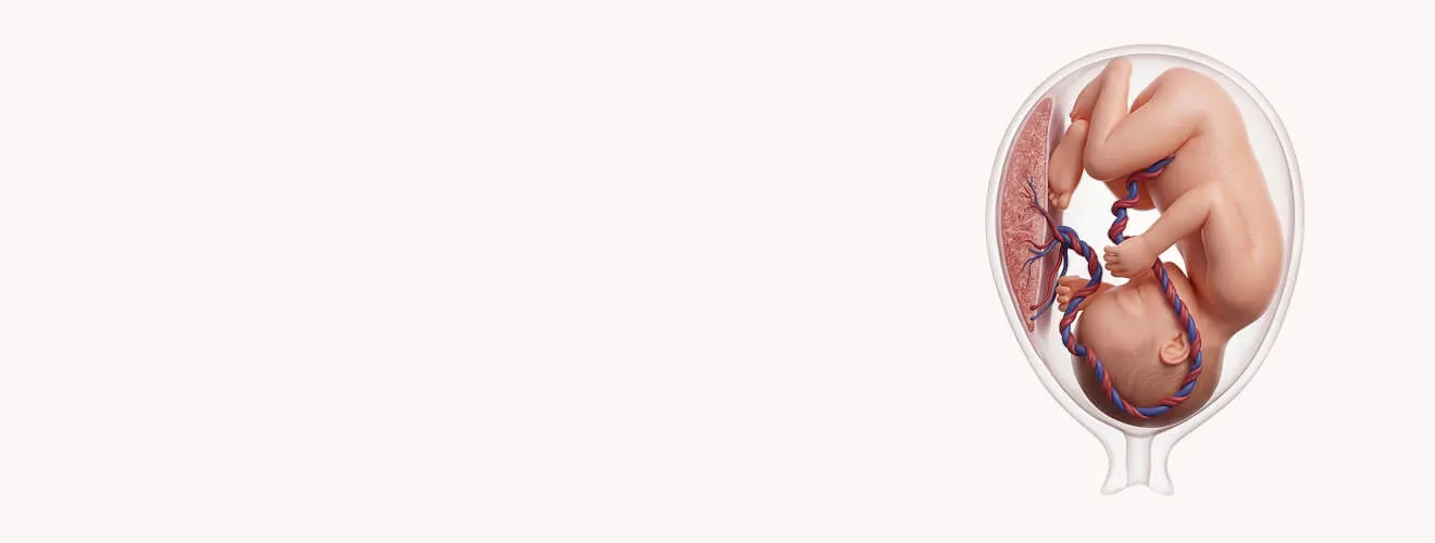 Blog Banner
